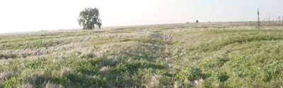 Santa Fe Trail Rut