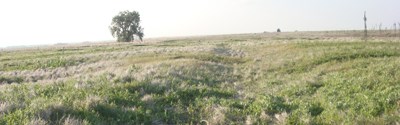 Santa Fe Trail Tracks (Dodge City Ruts) (U.S. National Park Service)