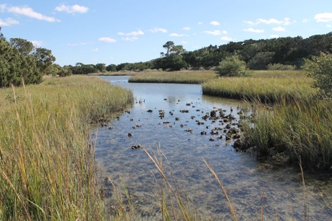 Tidal Creek in Salt Marsh-Rattlesnake Island