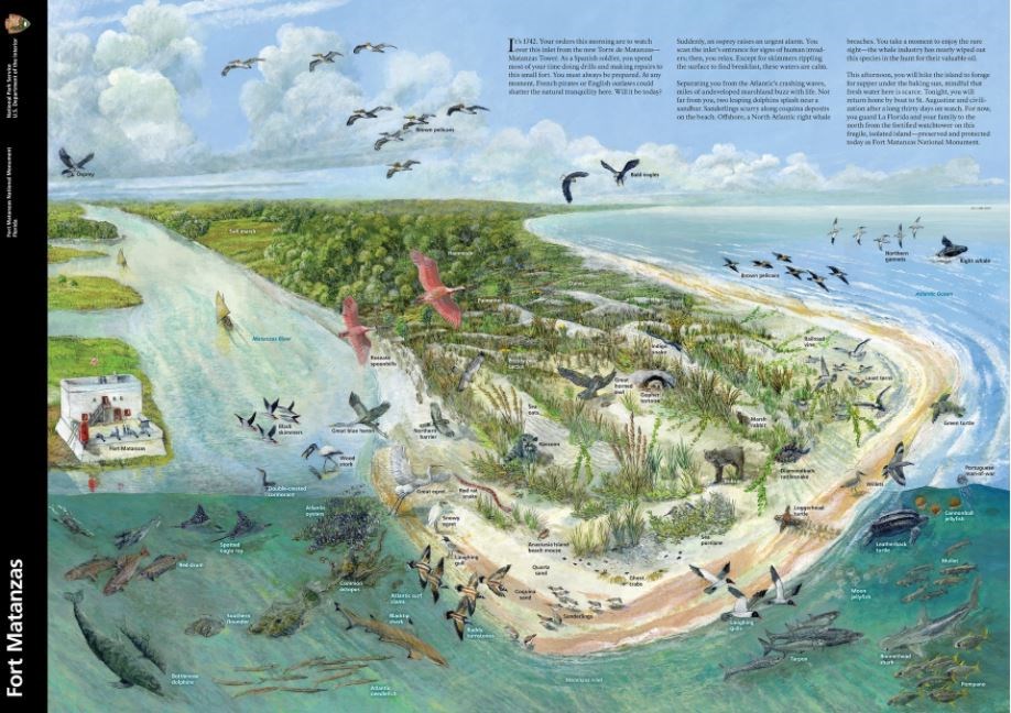 Fort Matanzas Brochure 2020