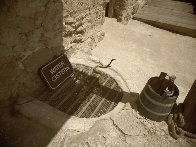 Brown snake moving cross a stone floor
