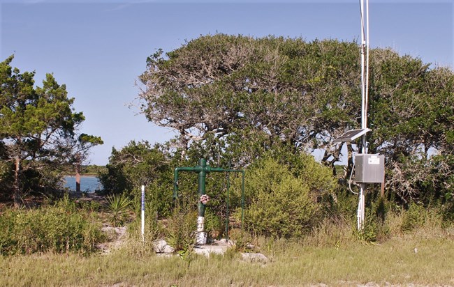 Pipes placed in the ground surrounded by small trees