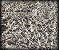 Coquina stone is formed naturally over thousands of years from tiny shells under the sea.