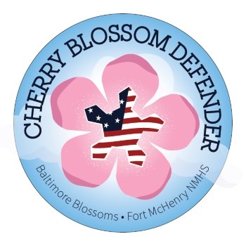 Pink cherry blossom with the outline of the star fort inside