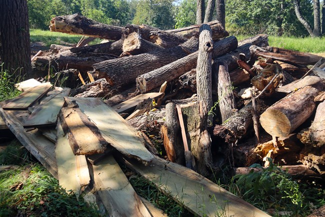 Pile of raw and milled wood