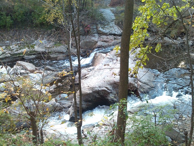Gwynns Falls and stream
