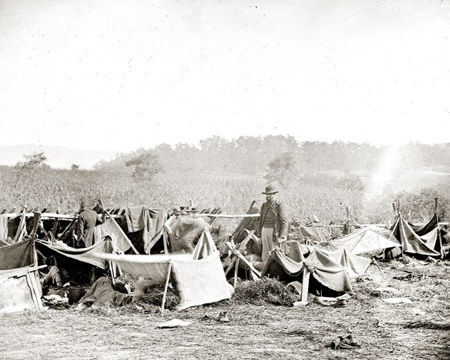 A historic black and white photograph of a hospital outside of Sharpsburg with small tents set up with wounded soldiers.