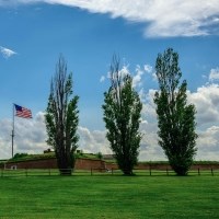 Three Lombardy Poplar trees standing outside the historic star fort.