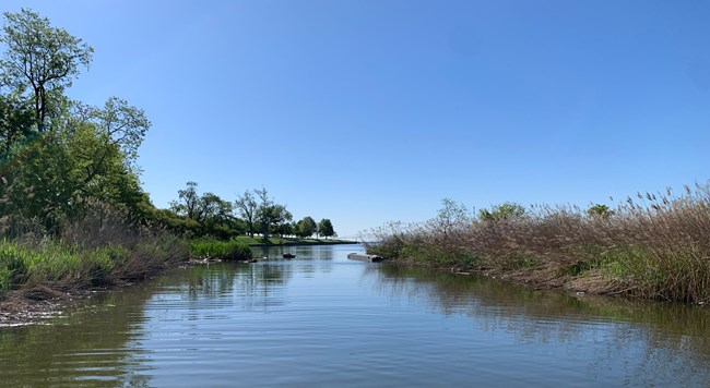 Wetlands 10