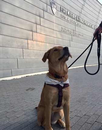 Paw Patroller at Fort McHenry