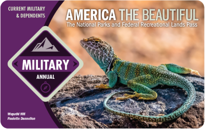 Military Annual pass front