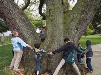 Thirteen junior and not-so junior rangers hug the "Algernourne Oak."