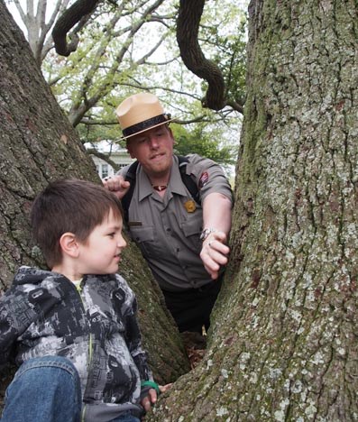 jr ranger at Algernourne Oak