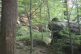 George Washington encountered a French patrol led by Ensign Jumonville at this Glen on the morning of May 28, 1754. Rock and Cliff at Jumonville Glen