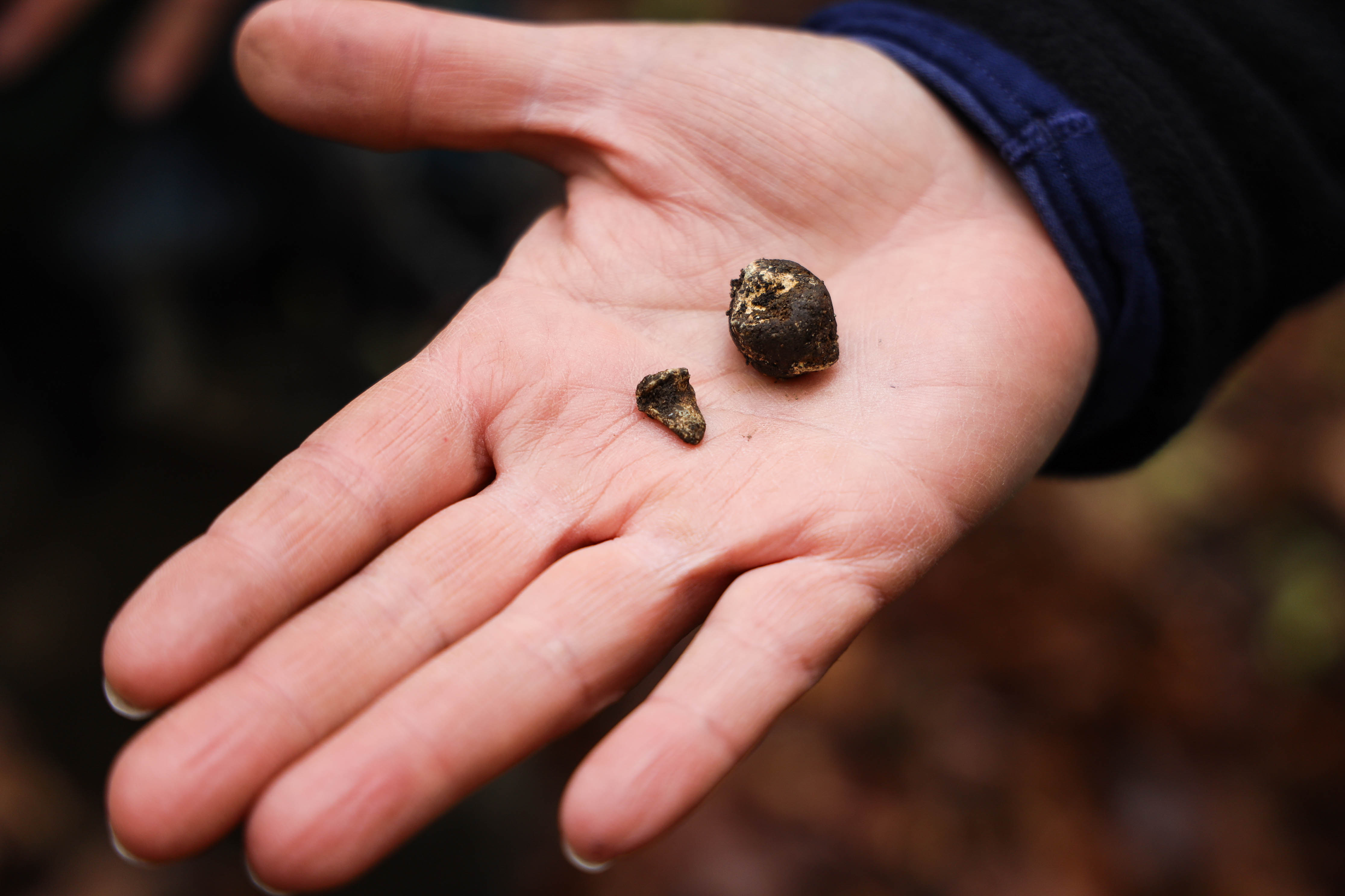 Ballistic recovered during the archaeological investigation at Jumonville Glen. Hand holding 18th century ballistic.