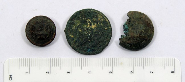 three brass military buttons, but one is partial. All three are tarnished.