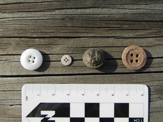 Four buttons on a wooden board. From left to right the buttons are white ceramic, white shell, green patinaed brass, and brown bone.