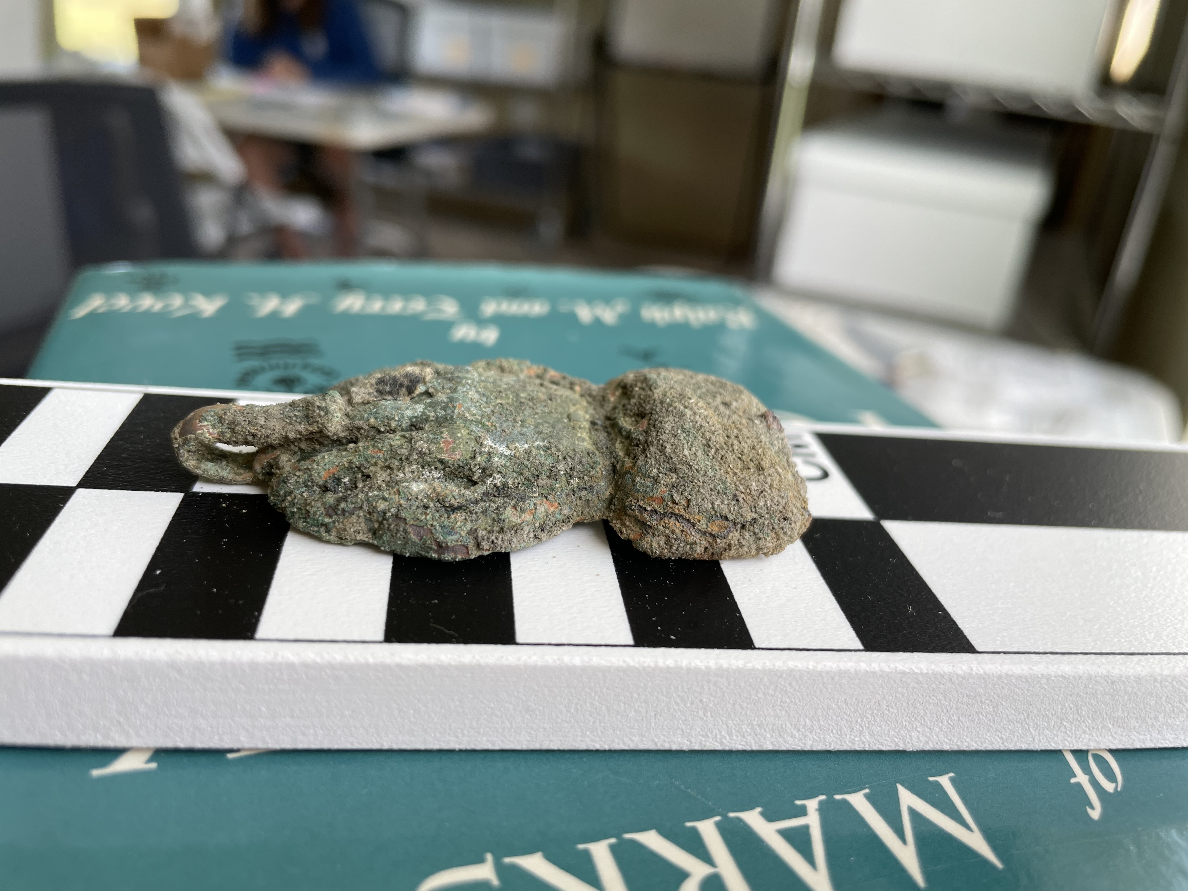 Copper cloak clasp, shaped in a hand with a hook on the end. Artifact is about two inches long.