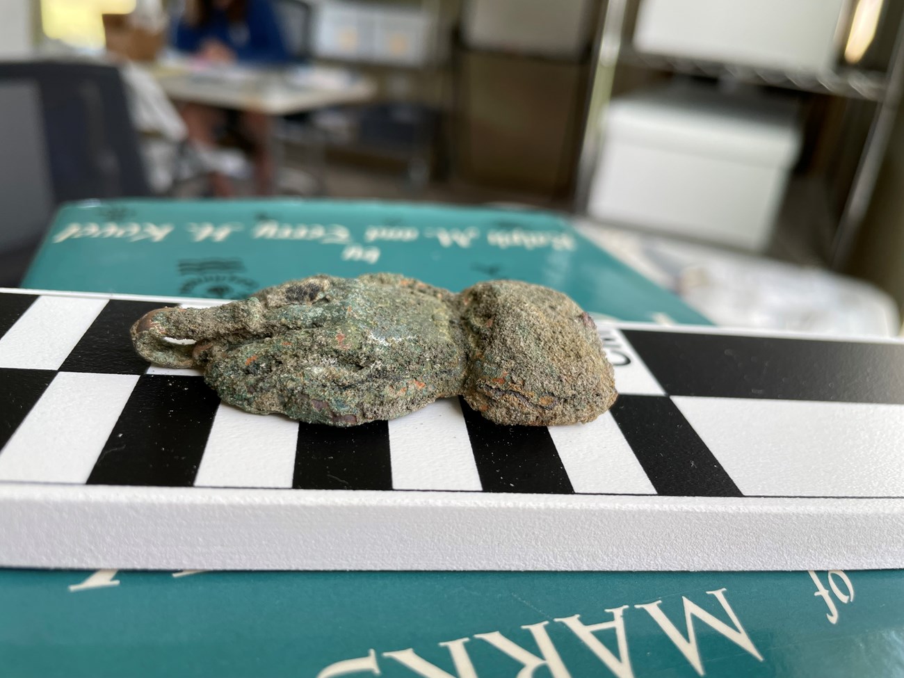 Copper cloak clasp, shaped in a hand with a hook on the end. Artifact is about two inches long.