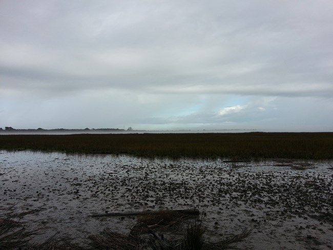 A brown, wet mudflat borders the grassy green marsh as mist rises from the Savannah river in the background.