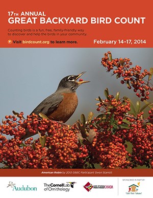 2014 Great Backyard Bird Count