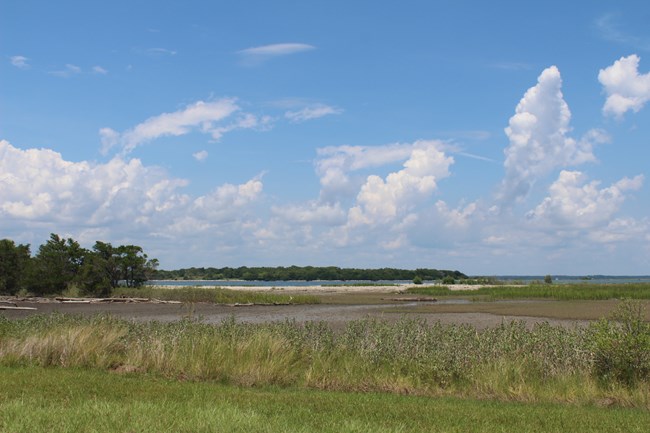 Landscape view of salt marshes, mudflats, and maritime forest on Cockspur Island, with the Savannah River in the background.