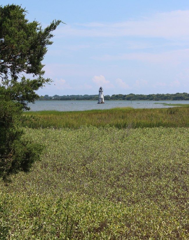 Salt marshes with lighthouse and Savannah River in the background