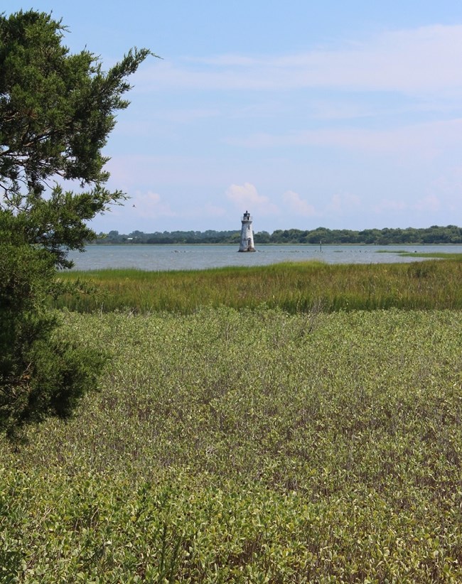 Salt marshes with lighthouse and Savannah River in the background
