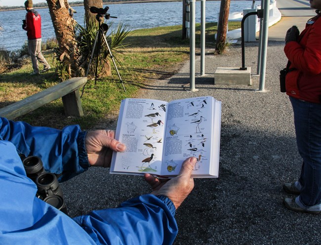 Birdwatchers gather at Fort Pulaski in search of the many birds that reside within the park