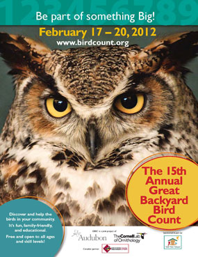 Great backyard Birdcount 2012