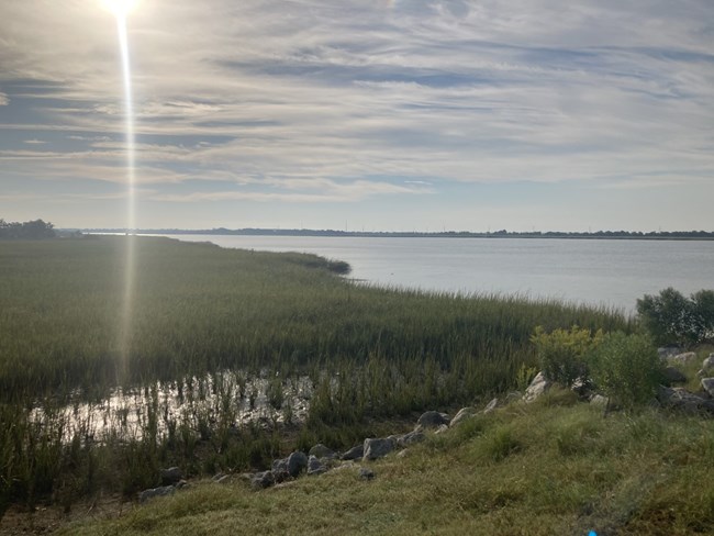 A grassy, green marsh is flooded by the tides of the calm Savannah River on a sunny day with clouds.