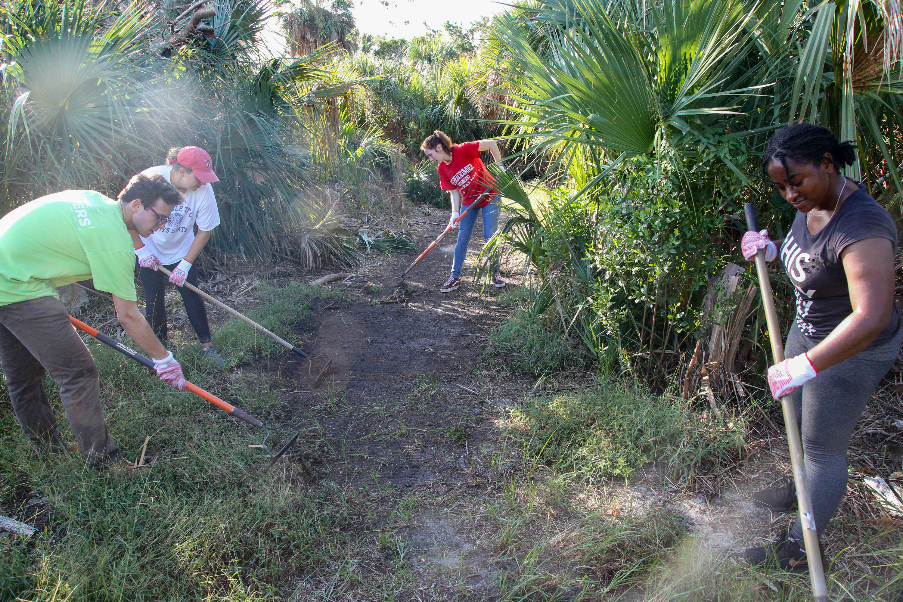 Four young people rake an area along a trail surrounded by green vegetation.