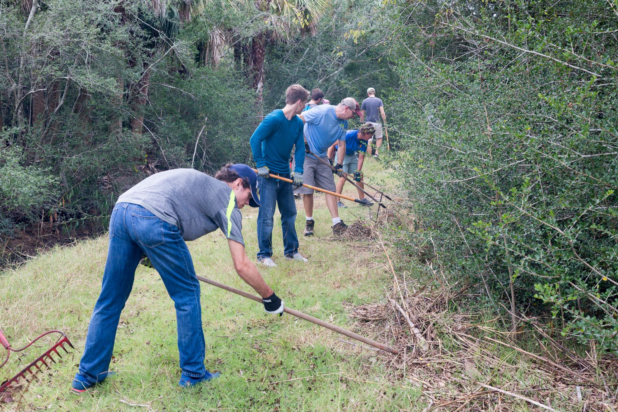 Trail Work During National Public Lands Day Four men facing the right along a grass trail, rake marsh rack and other tree limbed debris from the bushes along the side of the trail.