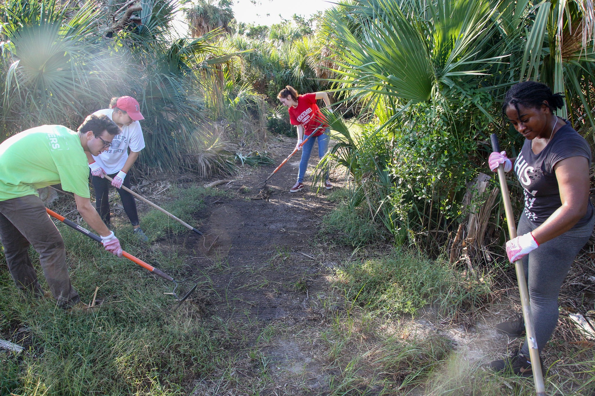 National Public Lands Day Event Project at Fort Pulaski Four college aged students use rakes to pull back small branches and debris from a dirt trail surrounded by green brush.