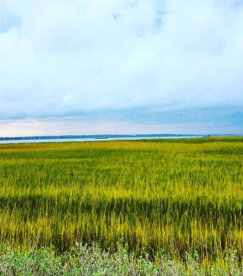 Cockspur Island Marsh Green marsh grass fills up half the frame. A sliver of light blue river divides the marsh from the gray cloudy sky.