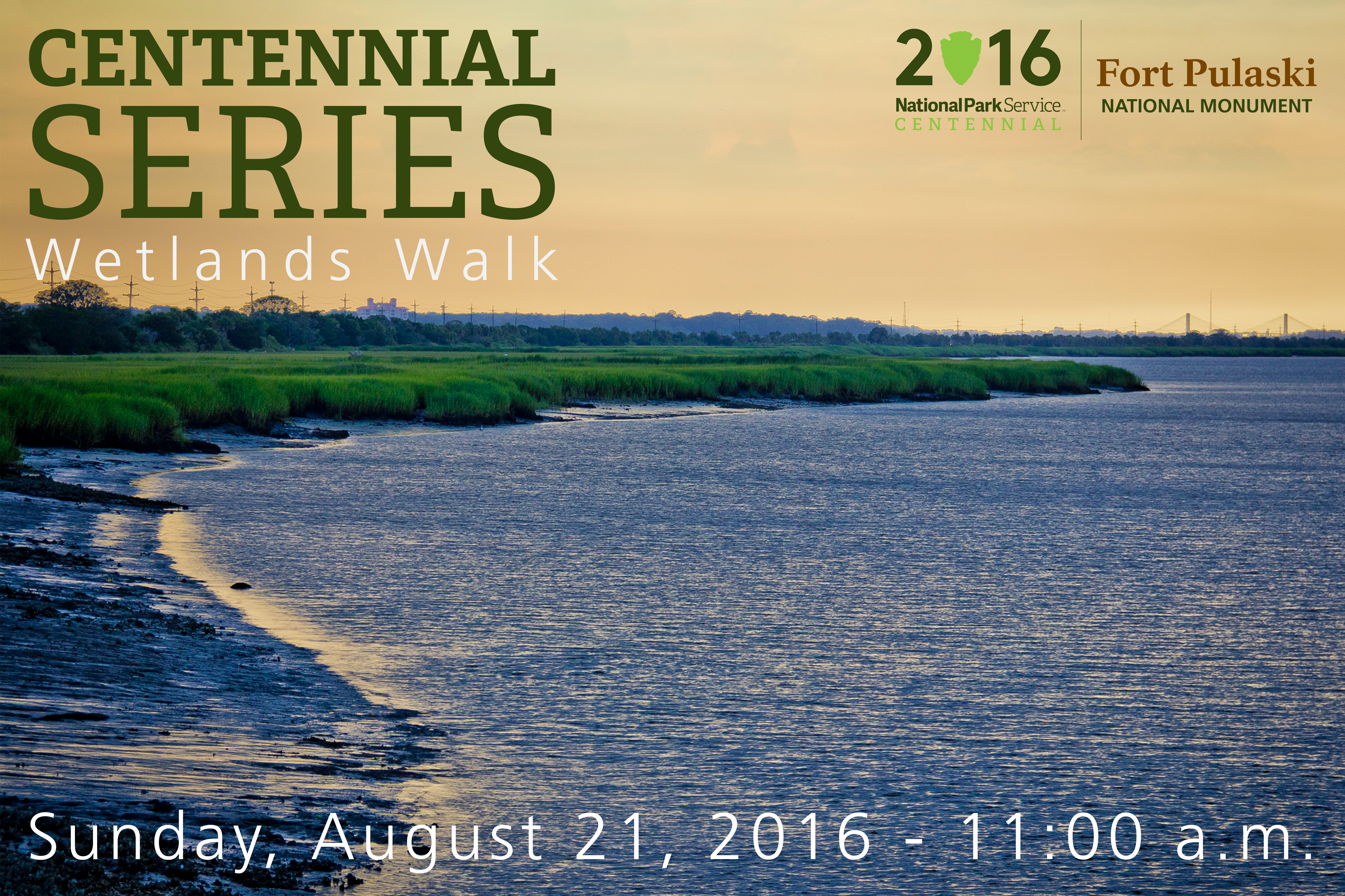 The green marsh of Fort Pulaski National Monument along the Savannah River