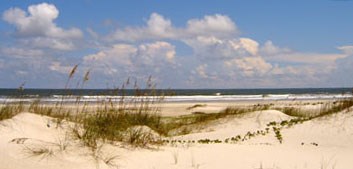 Cumberland Island National Seashore