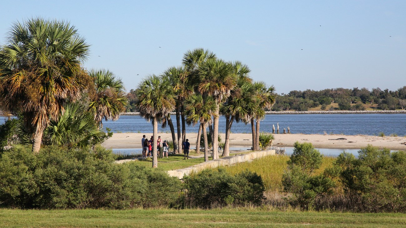 A small group of people are standing on an earthern and granite pier, surrounded by palm trees. A river can be seen in the background, a few hundred yards away from the pier.