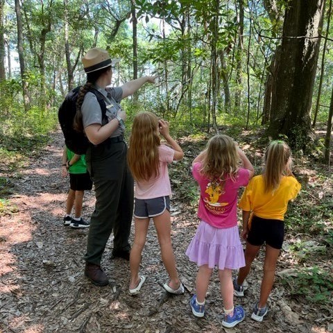 Ranger points at trees on hiking trail with group of students.