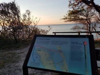 A sign nestled in woods overlooking the water