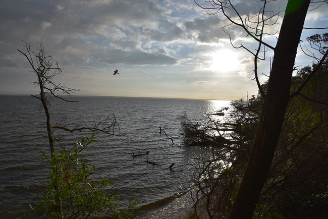 sunset over ablemarle sound