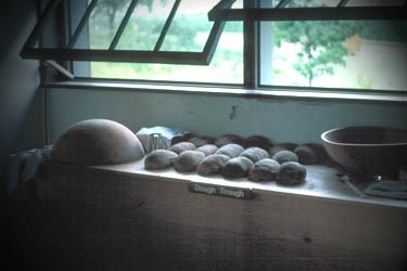 Loaves of Bread