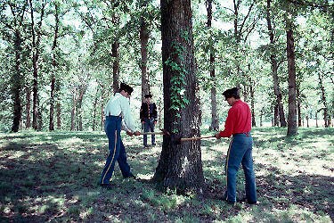 Cutting Logs for Construction