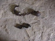 Leg Irons and Hand Shackles