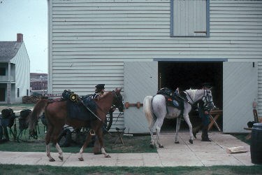 Returning Horses to Stable after Drill