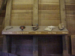 Grooming Gear