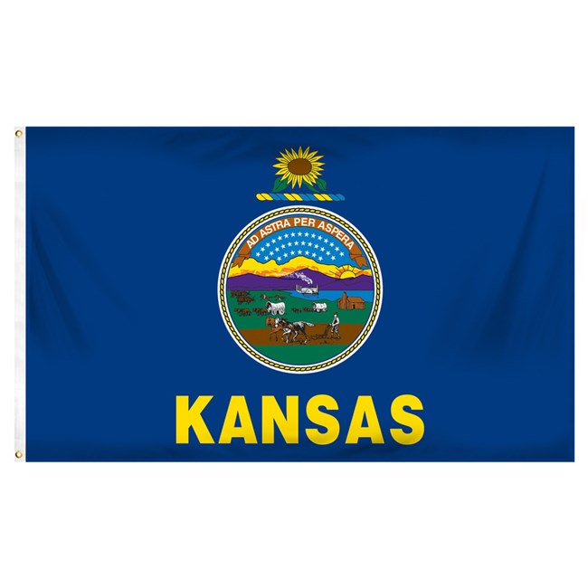 blue flag with sunflower and Kansas seal