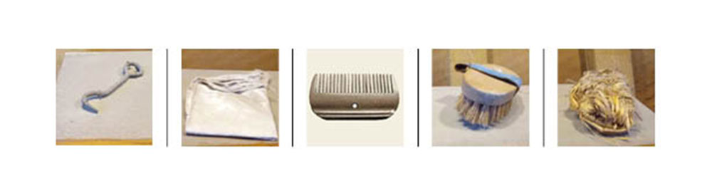 grooming tools for stables