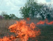 Prescribed fire at Fort Scott