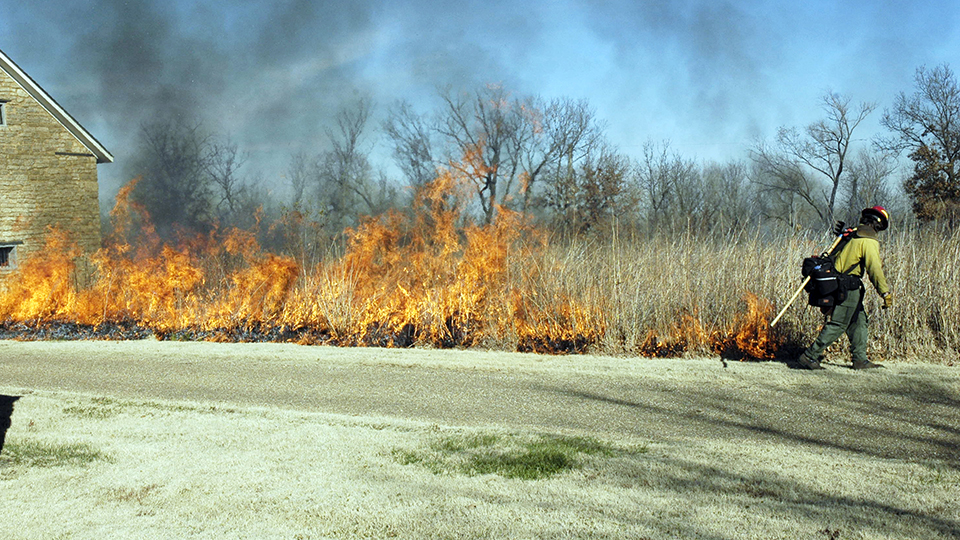 Igniting the Rx Burn of the Tallgrass Prairie Lone firefighter lighting the edge of the tallgrass prairie. Stone building nearby.